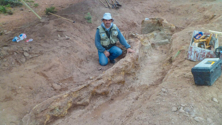 Científicos argentinos descubren una nueva especie de dinosaurio en la Patagonia