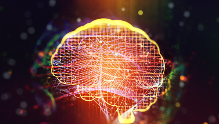 Contradicen la hipótesis de que el cerebro humano puede "reconectarse" luego de una lesión