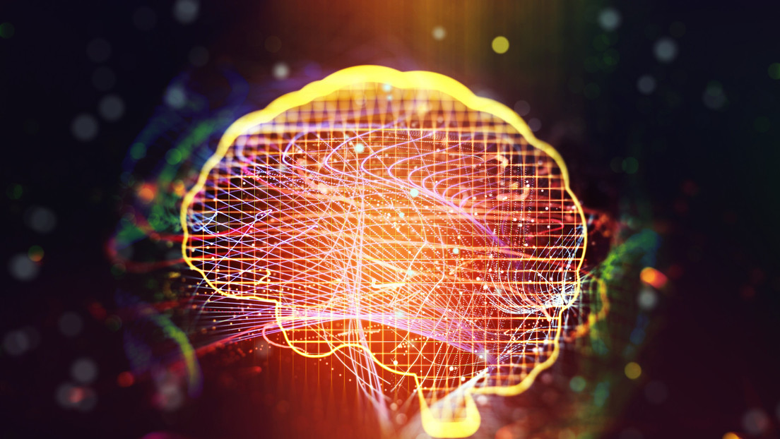 Contradicen la hipótesis de que el cerebro humano puede "reconectarse" luego de una lesión