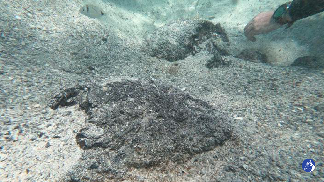 Descubren un tesoro récord del Imperio romano cerca de una isla italiana (VIDEO)