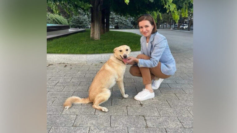 El perro de la presidenta de Moldavia muerde a un jefe de Estado (VIDEO)