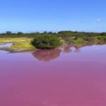 FOTOS: Un estanque de Hawái se tiñe de rosa (y parece ser culpa de la sequía)