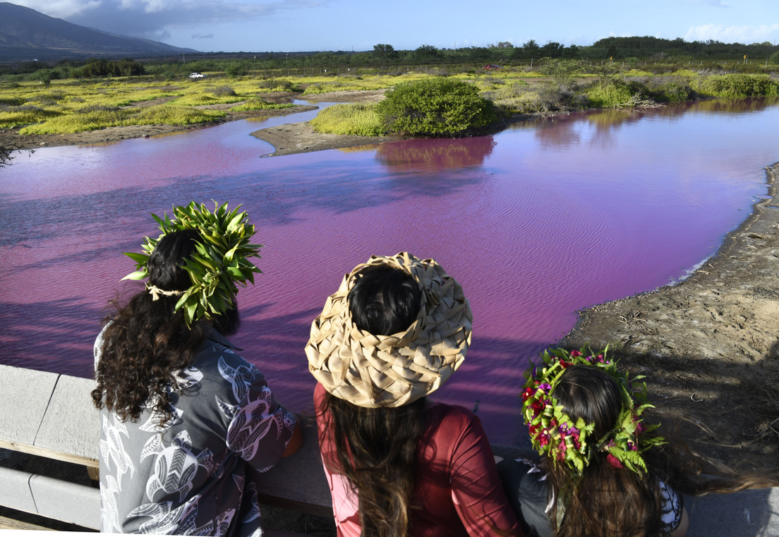 FOTOS: Un estanque de Hawái se tiñe de rosa (y parece ser culpa de la sequía)