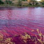 El río se tiñe de rojo y causa conmoción en redes sociales (VIDEO)