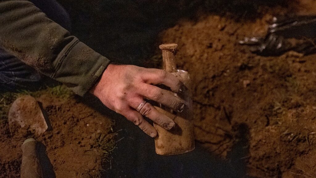 Semillas 'zombis' enterradas hace casi siglo y medio en un lugar secreto revelan plantas sorprendentes