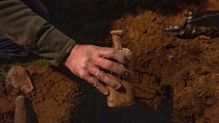 Semillas 'zombis' enterradas hace casi siglo y medio en un lugar secreto revelan plantas sorprendentes