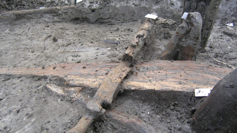 Un yugo de hace 3.300 años demuestra cuán pequeños eran los bovinos en la Edad de Bronce