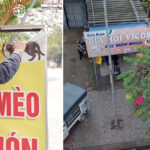 Cierran un restaurante que sacrificaba hasta 300 gatos al mes tras expresar el propietario su preocupación moral