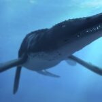 Encuentran gigantesco cráneo de un superdepredador oceánico del Jurásico