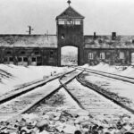 Encuesta: El 20 % de los jóvenes estadounidenses piensan que el Holocausto es un mito