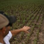 Estiman que el PIB de Argentina caerá un 2 % en 2023 tras histórica sequía
