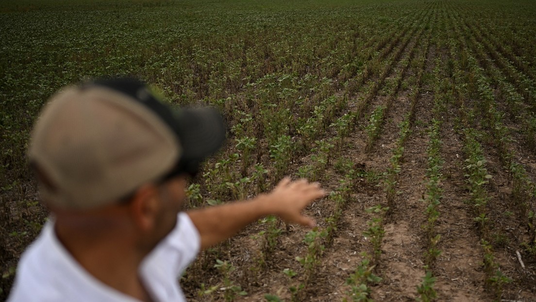 Estiman que el PIB de Argentina caerá un 2 % en 2023 tras histórica sequía