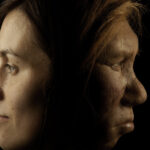 Genes neandertales podrían explicar por qué algunas personas son madrugadoras