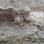 Hallan miles de huesos de osos cavernarios y otros animales en una cueva paleolítica de Baviera
