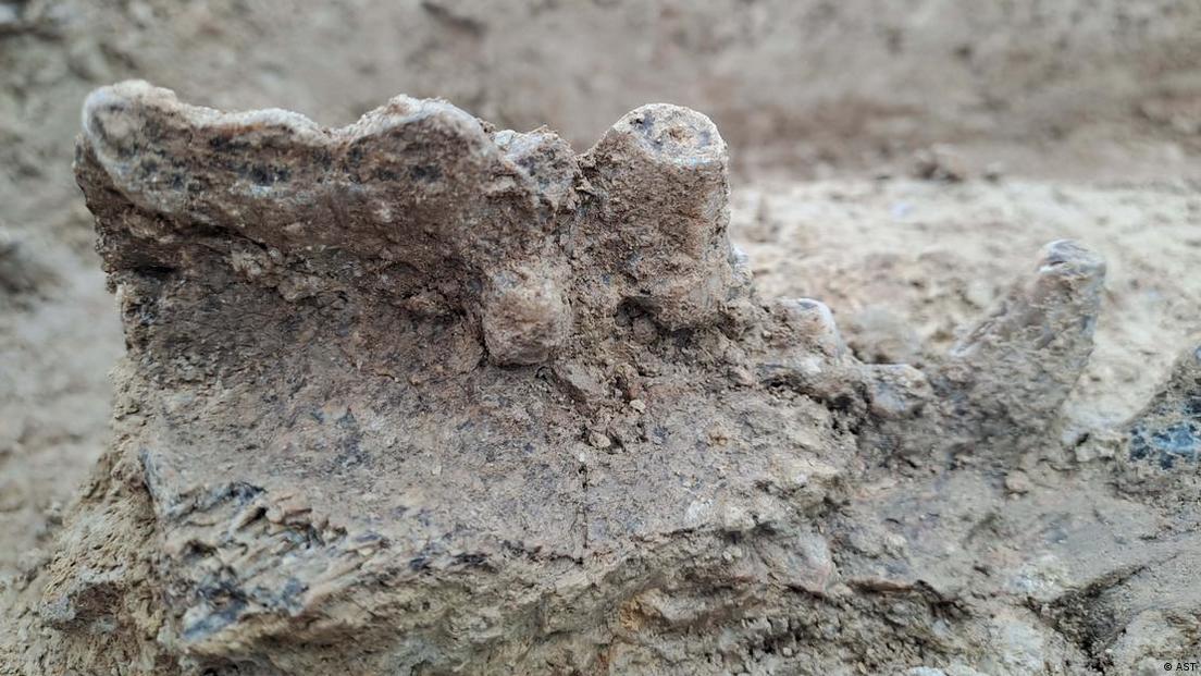 Hallan miles de huesos de osos cavernarios y otros animales en una cueva paleolítica de Baviera