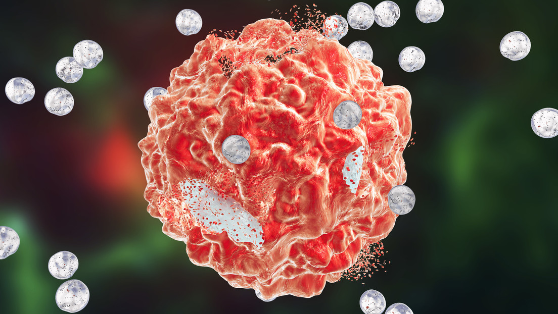 Resuelven un misterio de las células inmunes tras 18 años