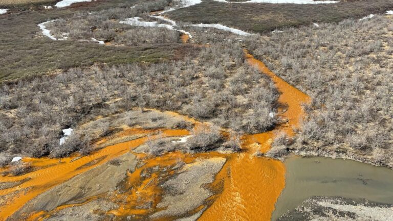 Ríos de Alaska se están volviendo anaranjados y ácidos, pero los científicos no pueden explicarlo