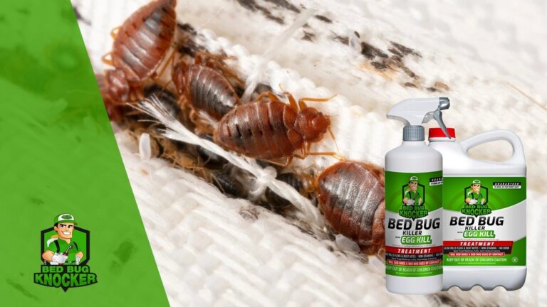 Adiós a las molestias Bed bug knocker, la solución eficaz para eliminar las chinches