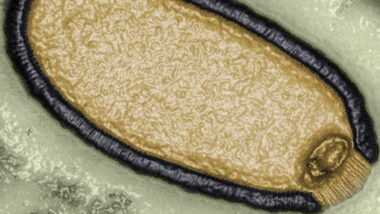 Advierten sobre 'virus zombis' del Ártico que podrían provocar una nueva y mortal pandemia