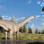 Descubren una nueva especie de dinosaurio herbívoro de cuello largo en Argentina