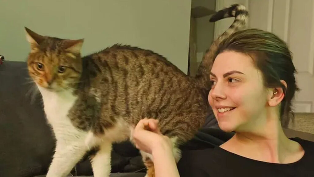 Hallan a un gato desaparecido hace siete años a tan solo 300 metros de su casa