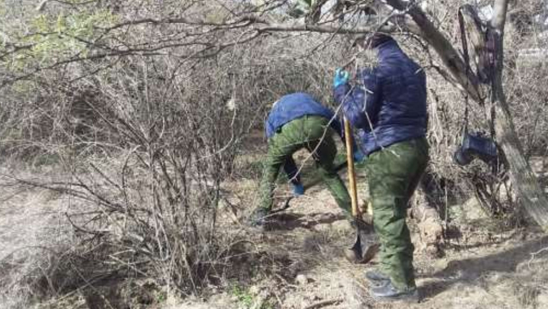 Localizan una fosa clandestina con al menos 10 cuerpos en el estado mexicano de Zacatecas