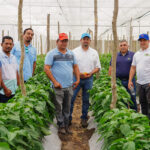 Pymes agrícolas dispondrán de financiamiento para fortalecer su producción local