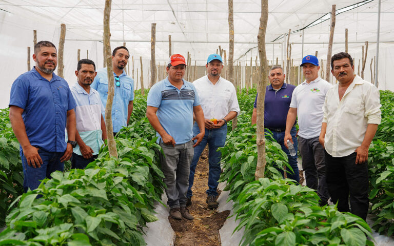 Pymes agrícolas dispondrán de financiamiento para fortalecer su producción local
