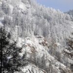 Rescate extremo en Siberia: cazadores y sus perros, salvados tras una odisea invernal