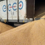 Arrojan más de 100 toneladas de grano ucraniano a las vías del tren en Polonia