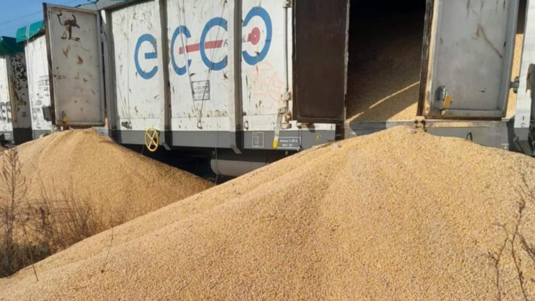 Arrojan más de 100 toneladas de grano ucraniano a las vías del tren en Polonia