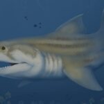 Descubren titanes del pasado: revelan dos especies de tiburones prehistóricos