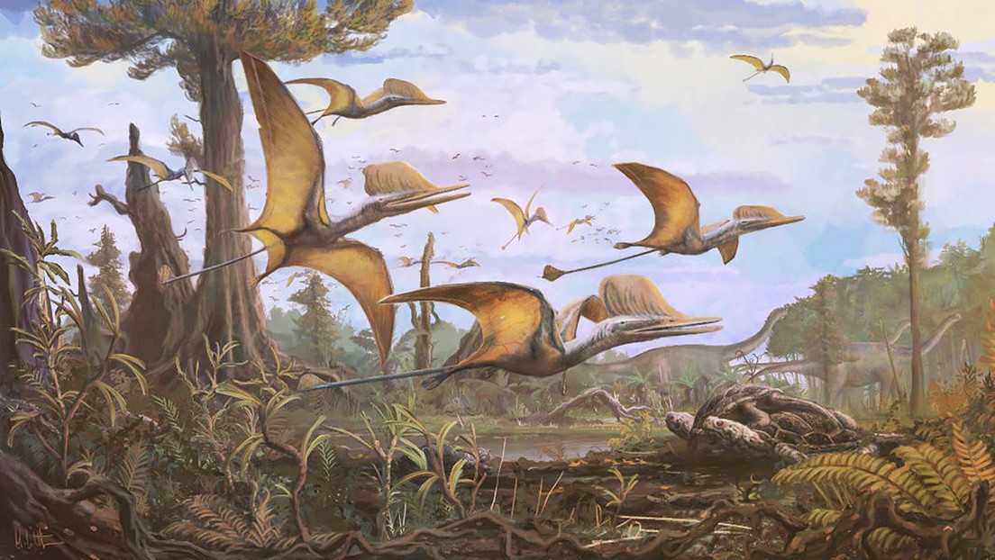 Descubren un nuevo pterosaurio que revela la riqueza de especies del Jurásico medio