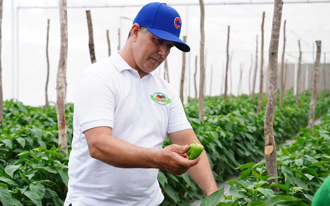 Más de 800 millones de córdobas compró Walmart a productores agrícolas y pymes nicaragüenses en 2023
