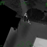 VIDEO: Operación especial de captura a un canguro suelto en Florida