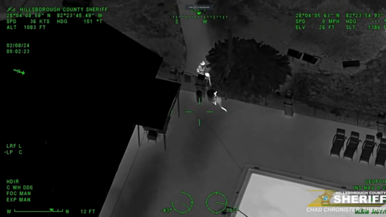 VIDEO: Operación especial de captura a un canguro suelto en Florida