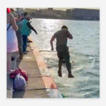 VIDEO: Policías rescatan a una bebé que cayó al mar en México