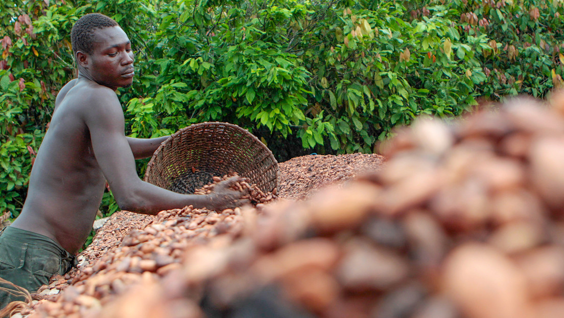 África paraliza sus principales plantas de cacao