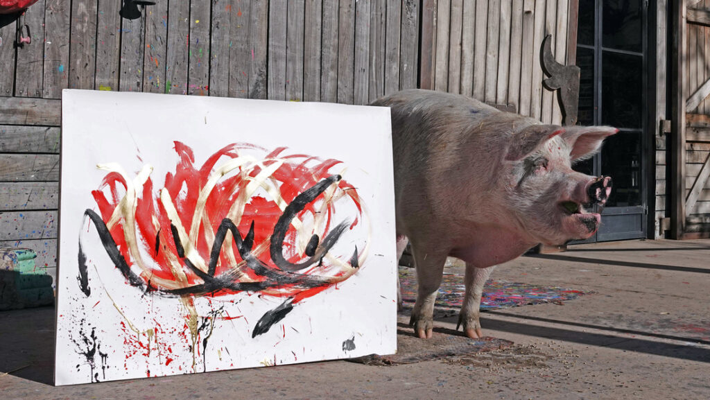 Muere Pigcasso, la cerda artista millonaria