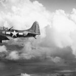 Un macabro hallazgo de la II Guerra Mundial estuvo escondido en una selva del Pacífico durante 80 años