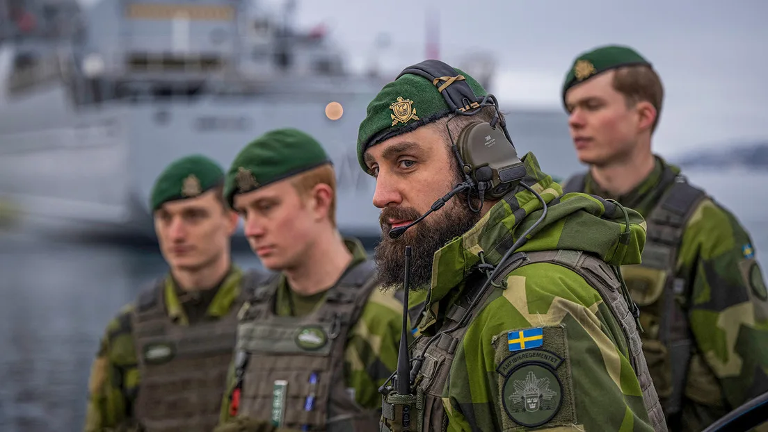 El Comité de Defensa sueco urge a aumentar el presupuesto militar del país