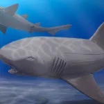Enigma resuelto: Descubren cómo era un tiburón prehistórico