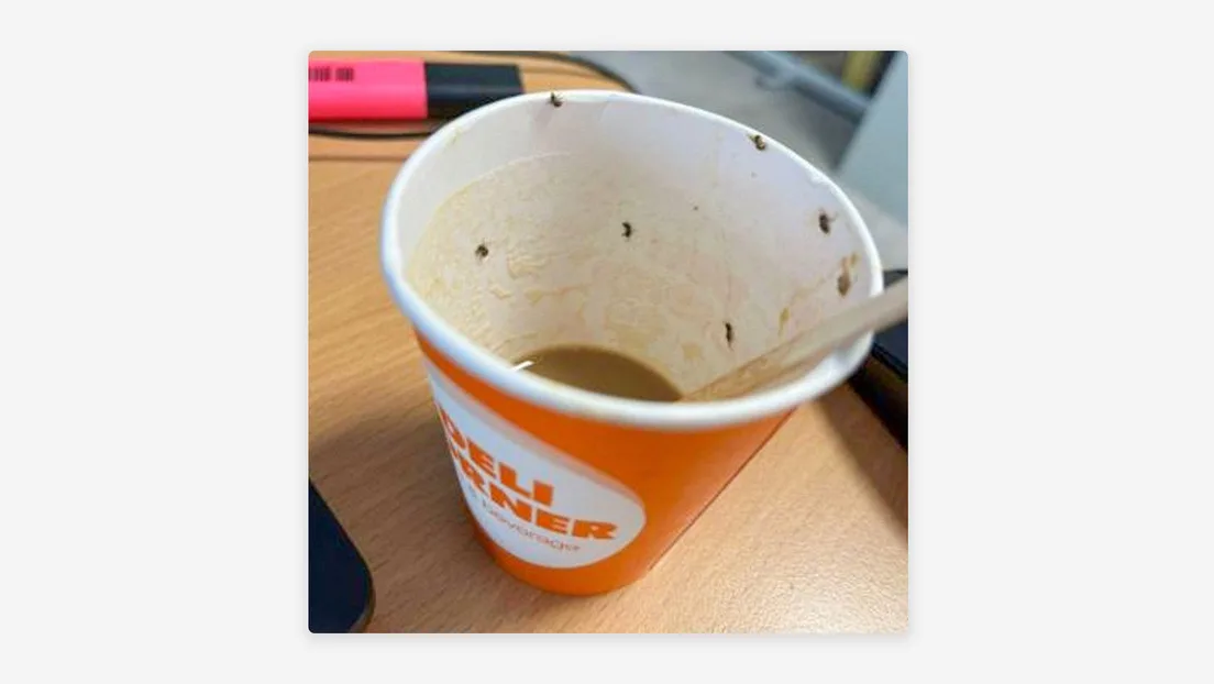 Hospitalizan a una mujer tras beber café con insectos de una máquina expendedora