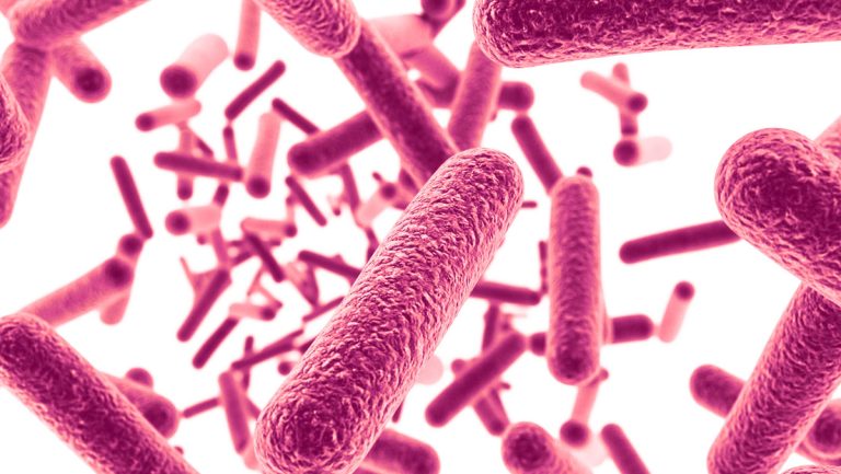 La tuberculosis en EE.UU. alcanza su mayor pico en una década
