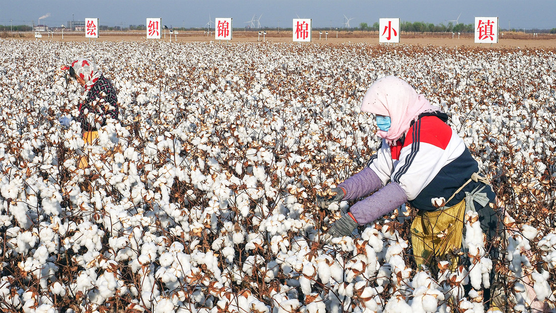 Por qué Europa se hizo dependiente del algodón chino en su afán por armar a Ucrania