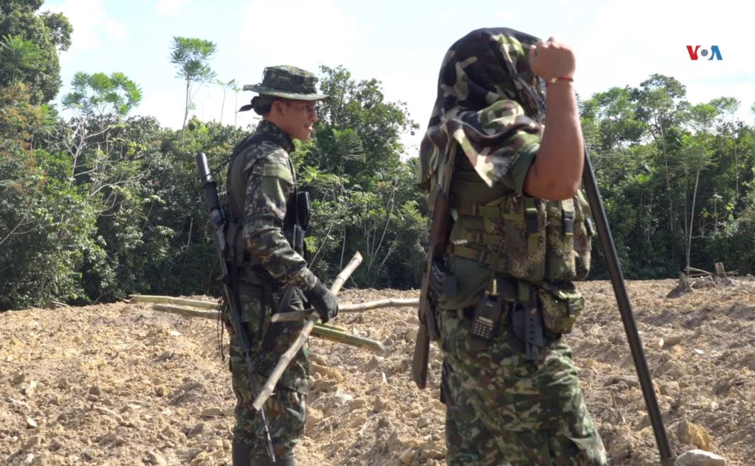 Integrantes de las disidencias de las FARC en la región del Catatumbo, el 10 de diciembre de 2024. [Foto: Johan Reyes, VOA].