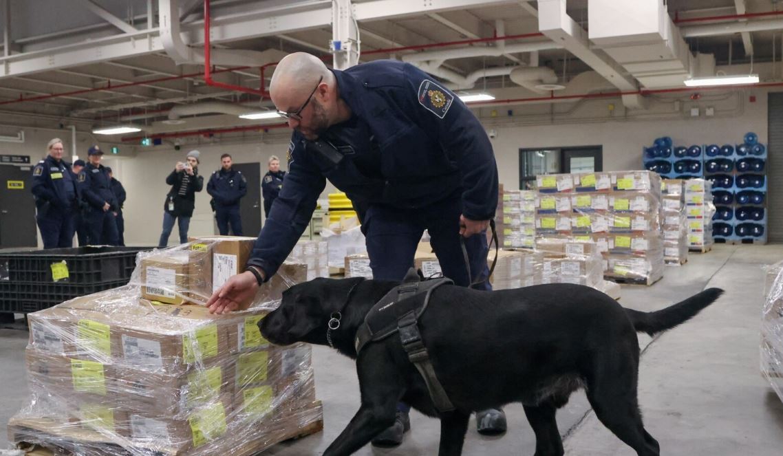 ARCHIVO - Denver, un perro detector de drogas de la Agencia de Servicios Fronterizos de Canadá, demuestra sus habilidades para encontrar drogas en el puerto de entrada de Lansdowne, junto al puente Thousand Islands en Lansdowne, Ontario, Canadá, el 12 de febrero de 2025.