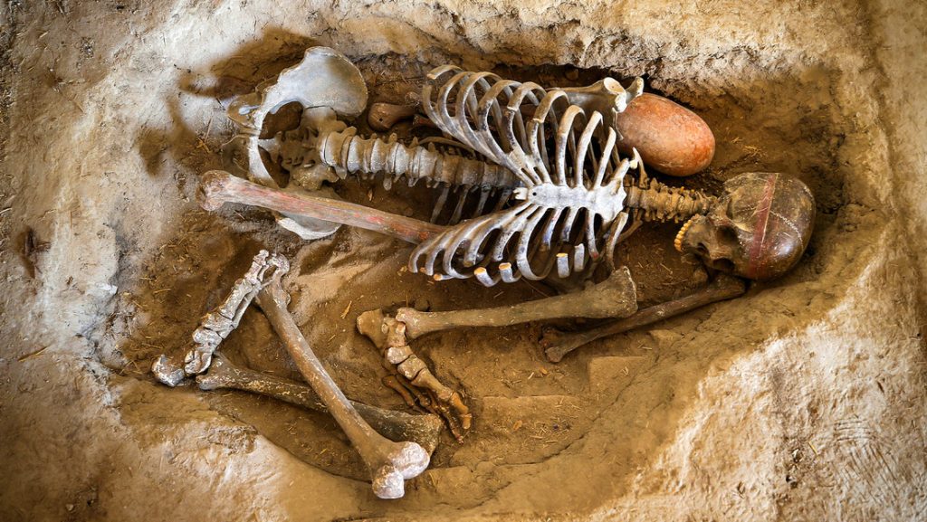 Un esqueleto junto a un pan de 8.600 años de antigüedad en Catalhoyuk, Turquía, 1 de marzo de 2024.