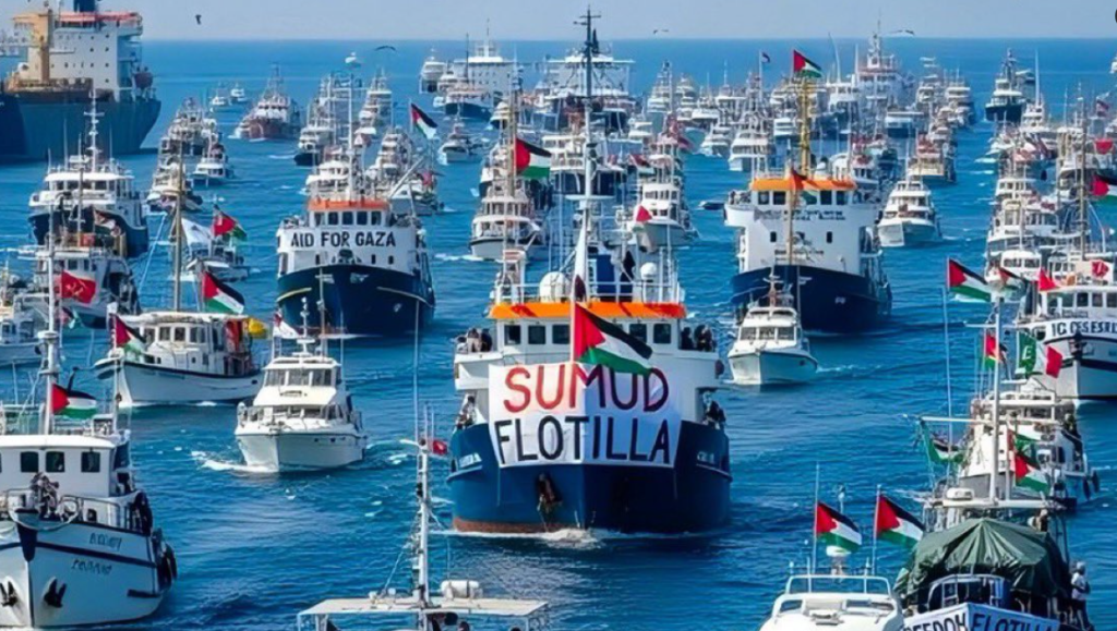 Foto de la flotilla.